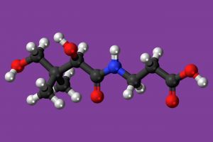 Pure Medical - Vitamin B5 Pantothenic Acid