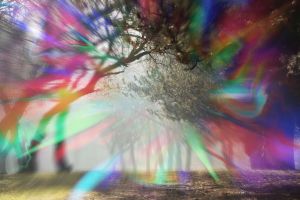 Ocular Migraines