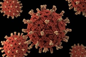 Facts about Rotavirus