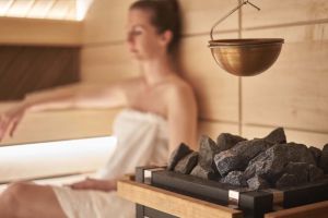 Spa Business Audits