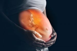 Cord Blood